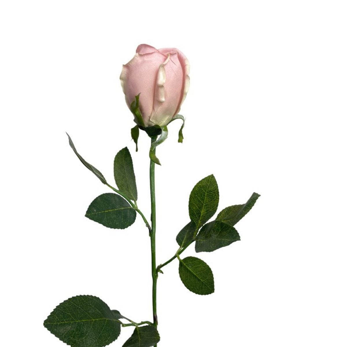 COREL - Rosa Rosada 75cm Artificial - Estilo Natural para Interiores y Vitrinas