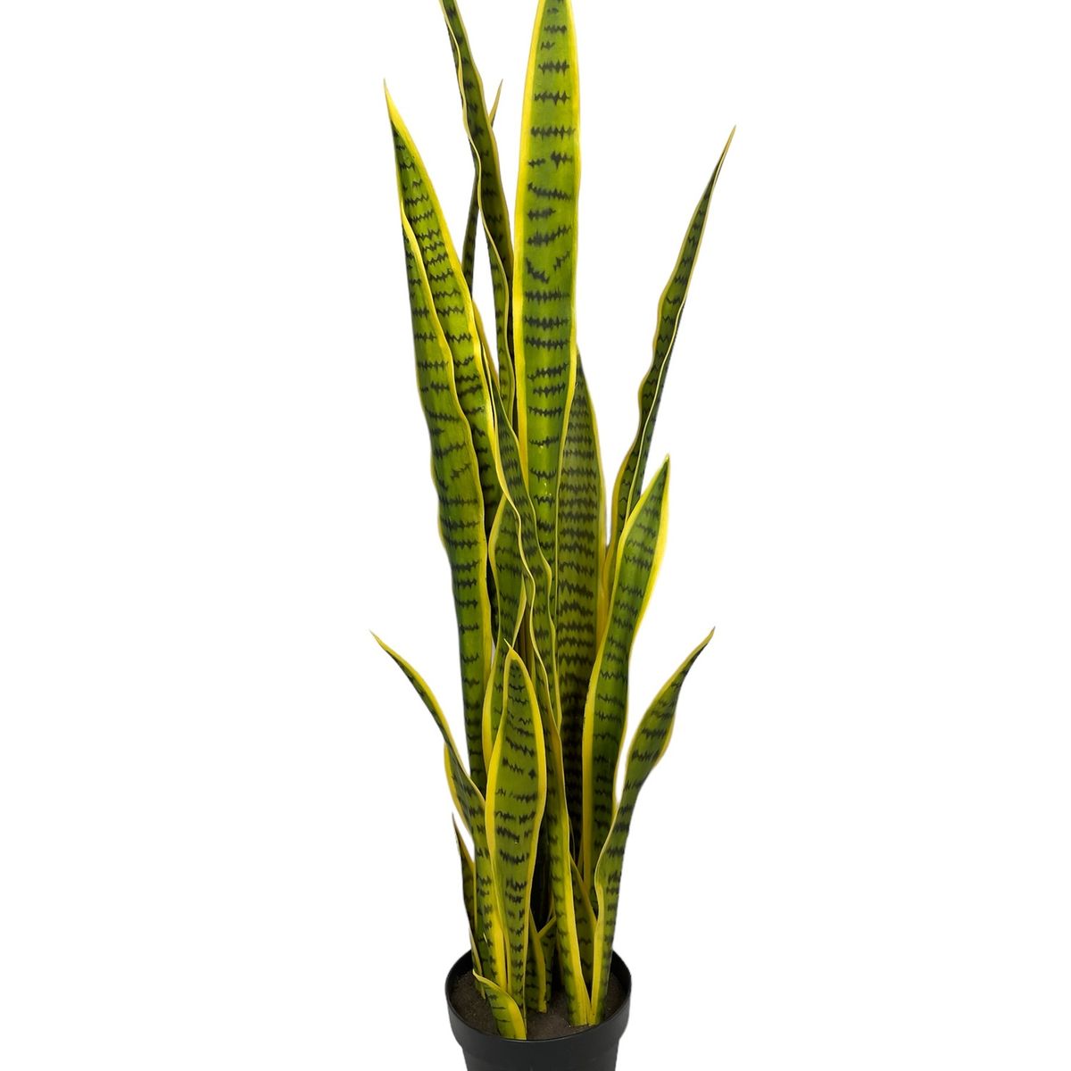 COREL - Sanseviera Amarilla de 112cm Artificial - Estilo Natural para Interiores y Vitrinas