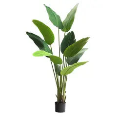 COREL - Strelitzia 160cm Artificial - Estilo Natural para Interiores y Vitrinas
