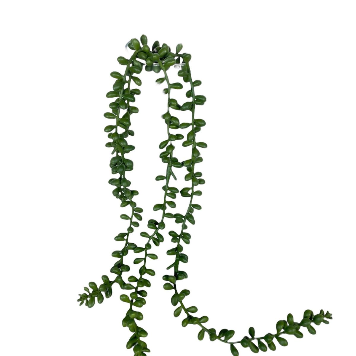 COREL - Suculenta Rosario 48cm Artificial - Estilo Natural para Interiores y Vitrinas