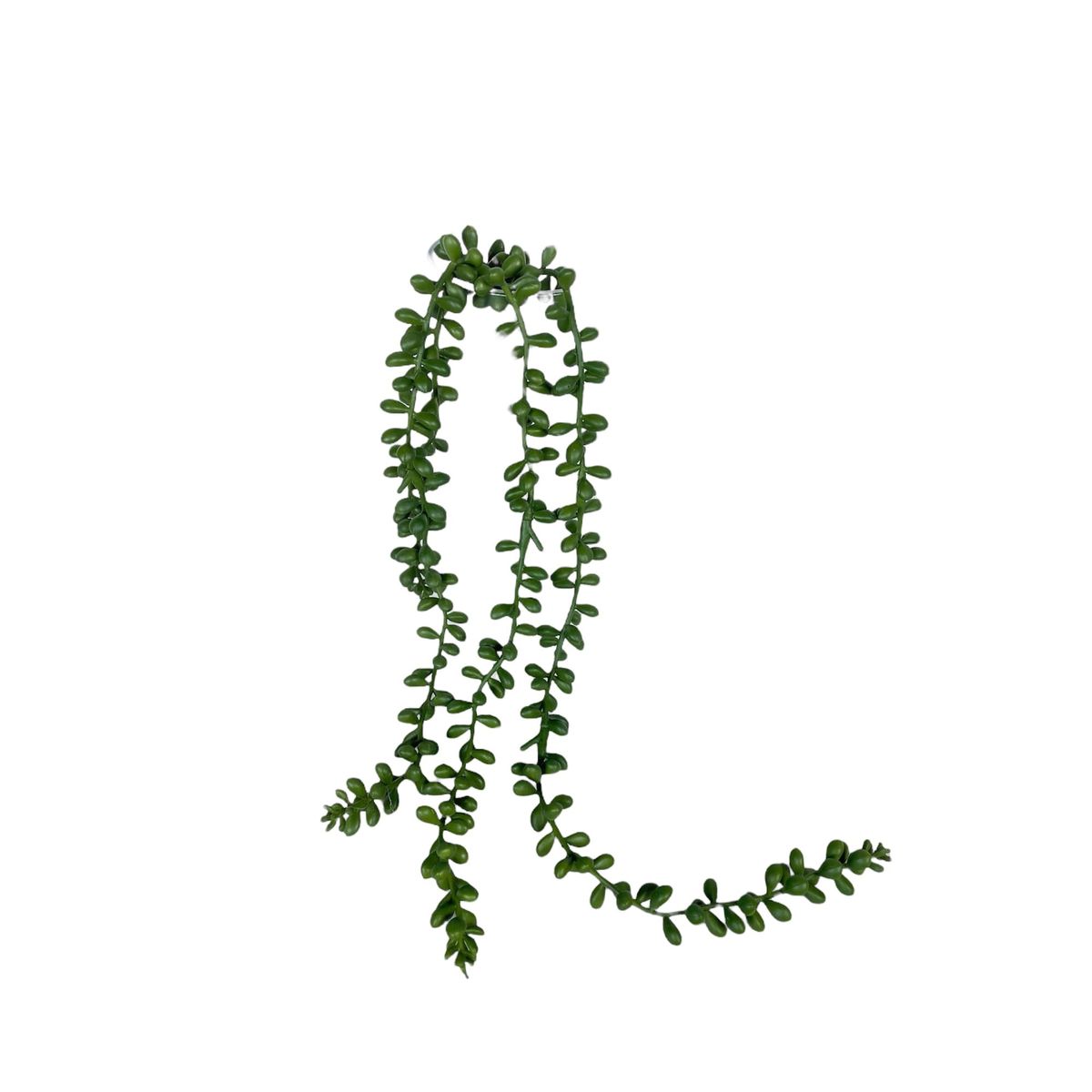 COREL - Suculenta Rosario 48cm Artificial - Estilo Natural para Interiores y Vitrinas