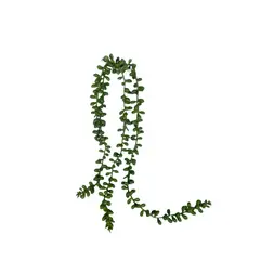 COREL - Suculenta Rosario 48cm Artificial - Estilo Natural para Interiores y Vitrinas