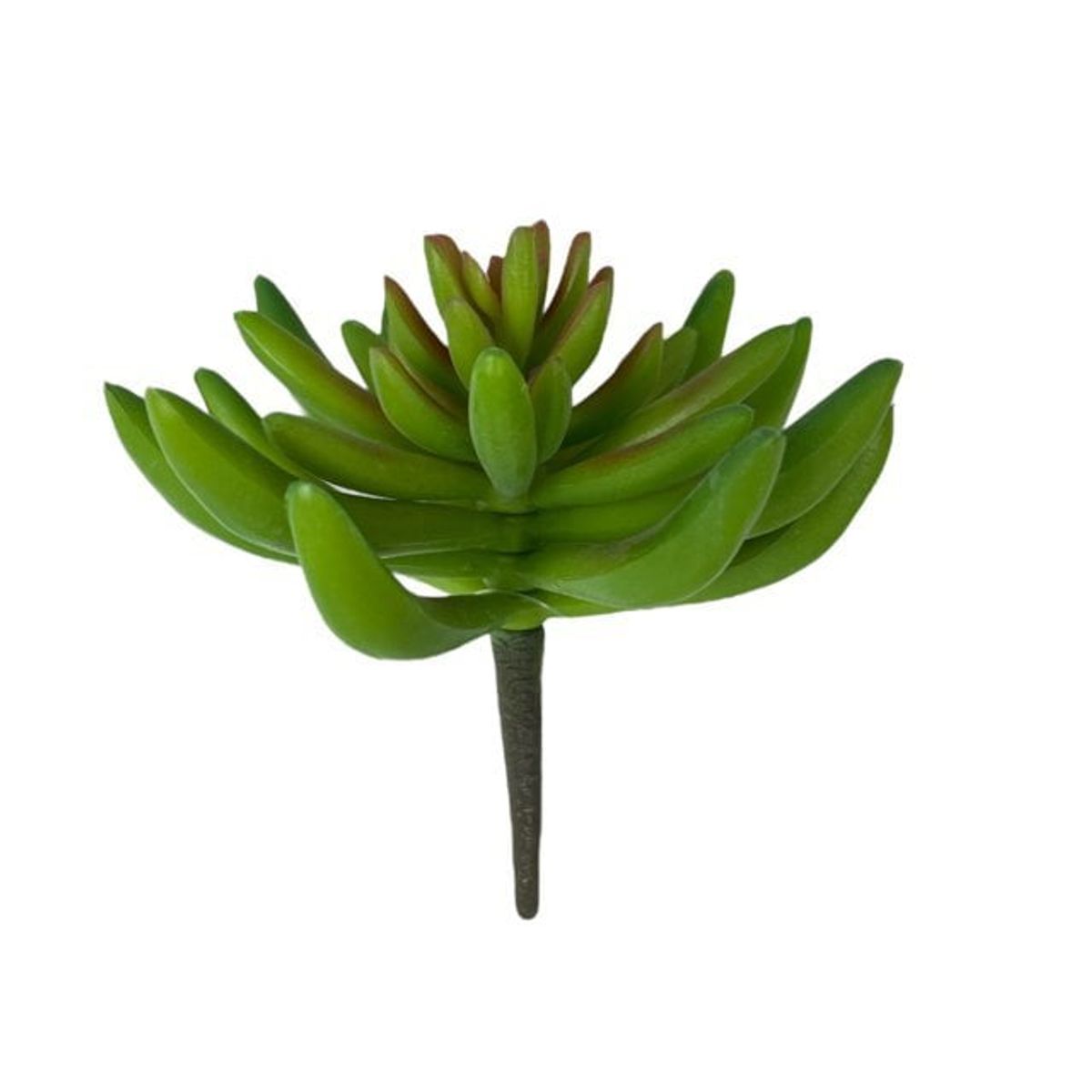COREL - Suculenta Verde 13cm Artificial - Estilo Natural para Interiores y Vitrinas