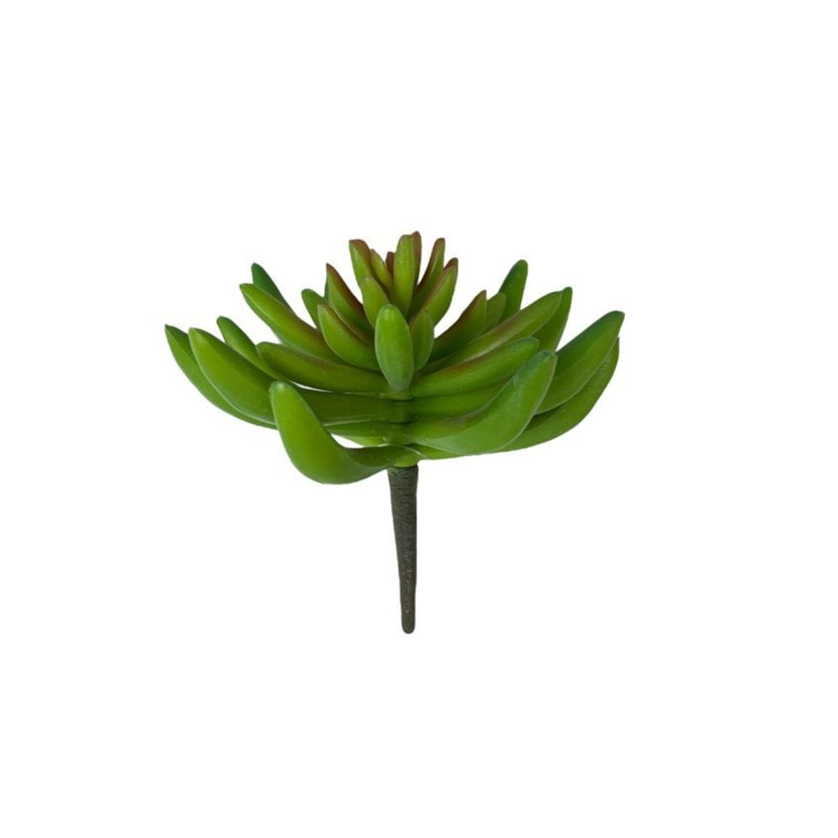 COREL - Suculenta Verde 13cm Artificial - Estilo Natural para Interiores y Vitrinas