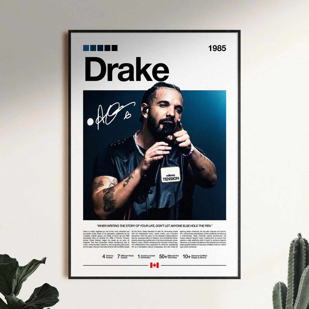 GENERICO - Cuadro De Drake Hip Hop Rap + Marco