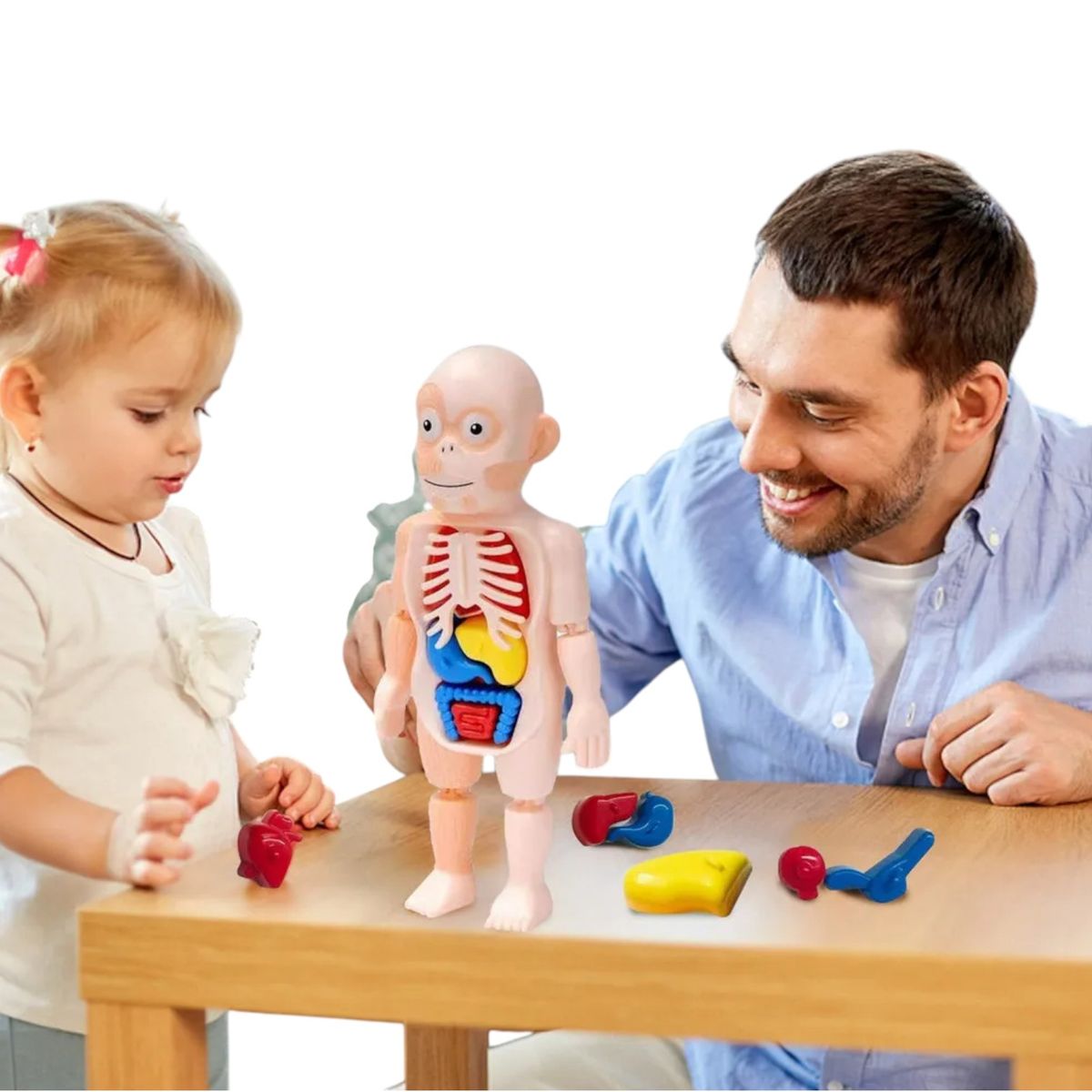 GENERICO - JUEGO DEL CUEPO HUMANO INTERACTIVO