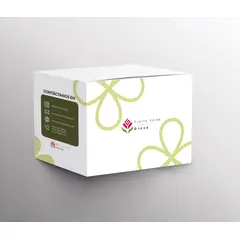 GENERICO - CAJA DE ESPUMA FLORAL