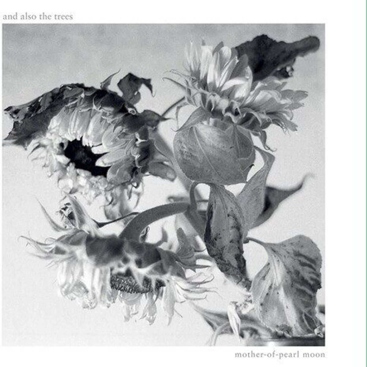 GENERICO - And Also The Trees - Mother-Of-Pearl Moon - CD Simple