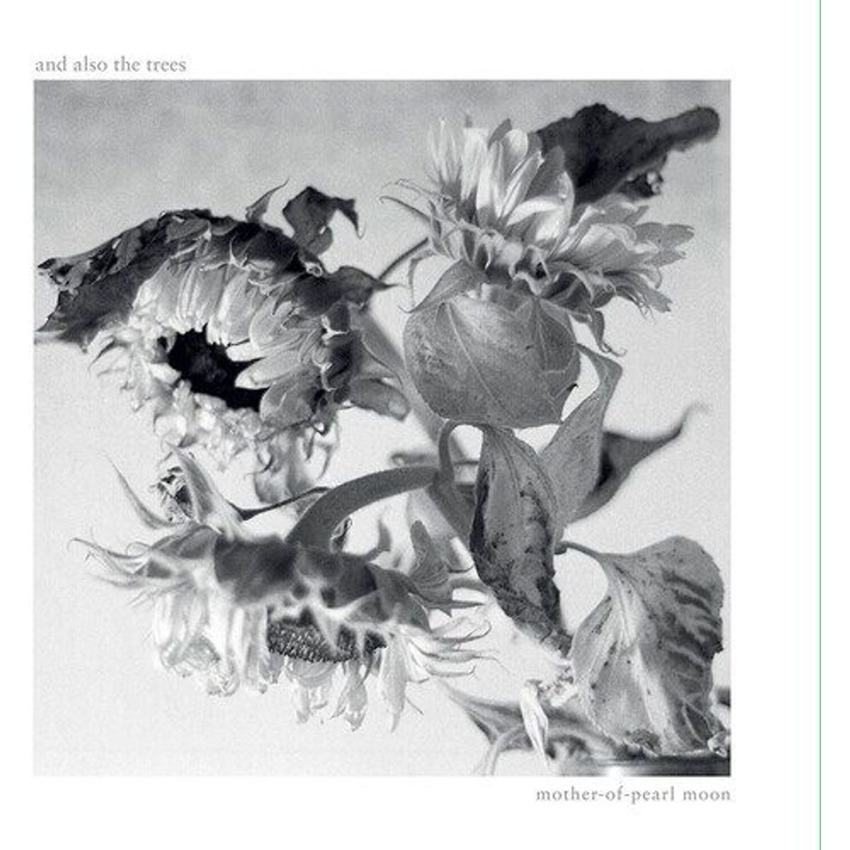 GENERICO - And Also The Trees - Mother-Of-Pearl Moon - CD Simple