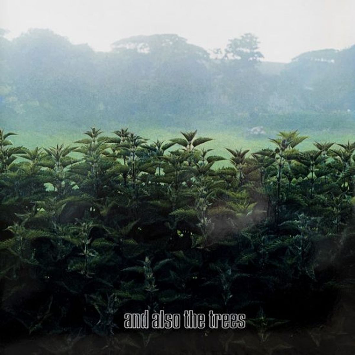 GENERICO - And Also The Trees - And Also The Trees - Vinilo Doble