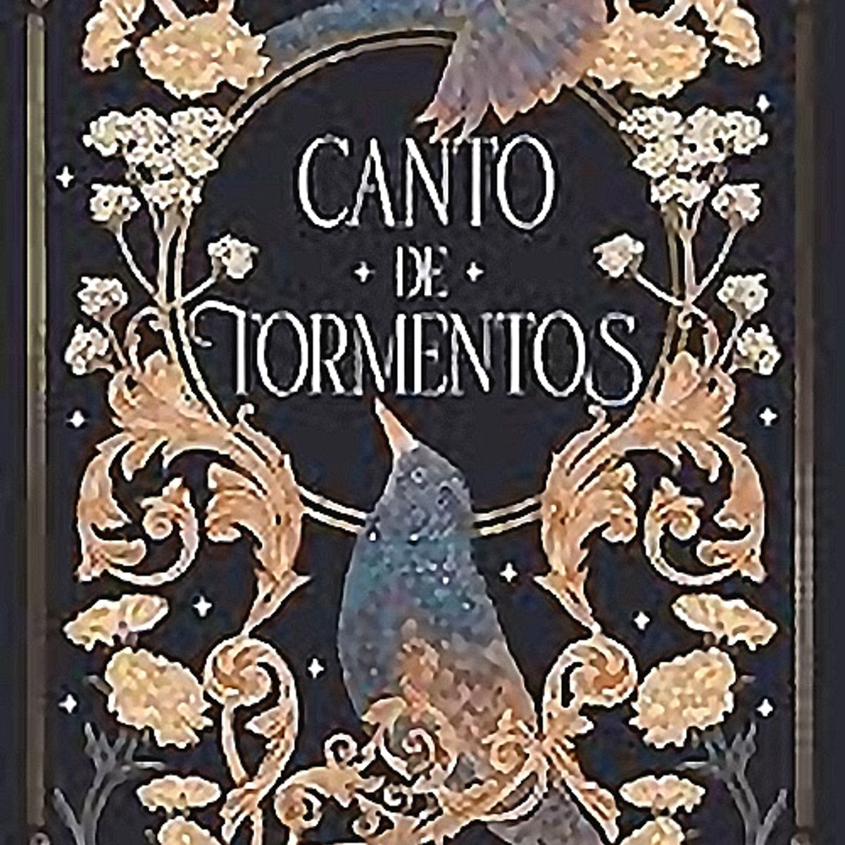 GENERICO - Libro Canto De Tormentos - Braidee Otto