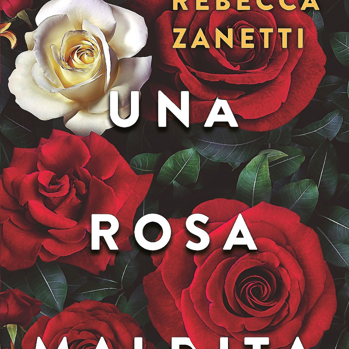 GENERICO - Libro Una Rosa Maldita - Zanetti, Rebecca