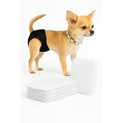 GENERICO - Pack 10 Protector Calzón Celo Mascota Absorbente Almohadilla M