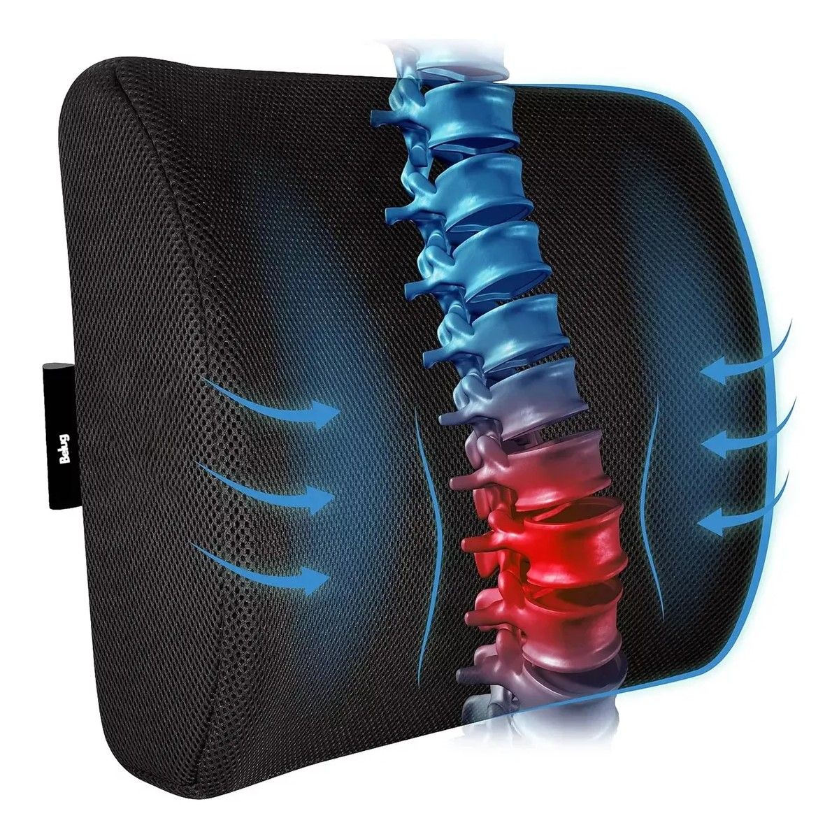 GENERICO - Cojín Ortopédico De Silla Para Apoyo De Alivio Lumbar NEGRO BELUG