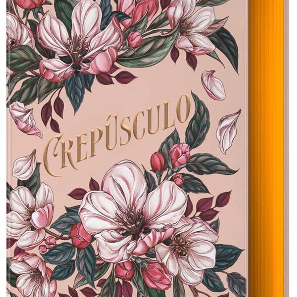 ANTARTICA LIBROS - Crepusculo Edicion Limitada Bella Y Edward Especial 20 Aniversario