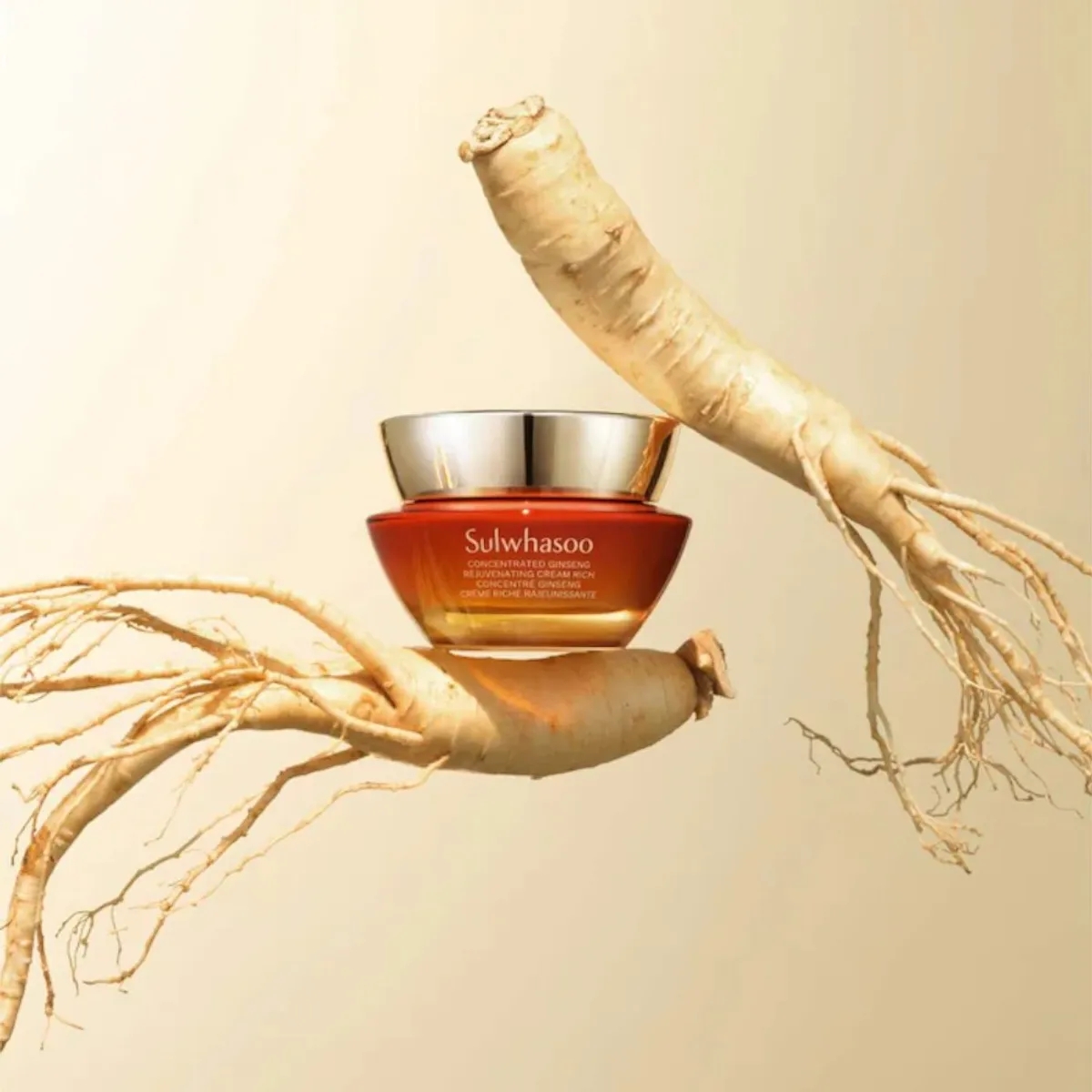 SULWHASOO - Crema Facial Rejuvenecedora con Concentrado de Ginseng 50ml Sulwhasoo