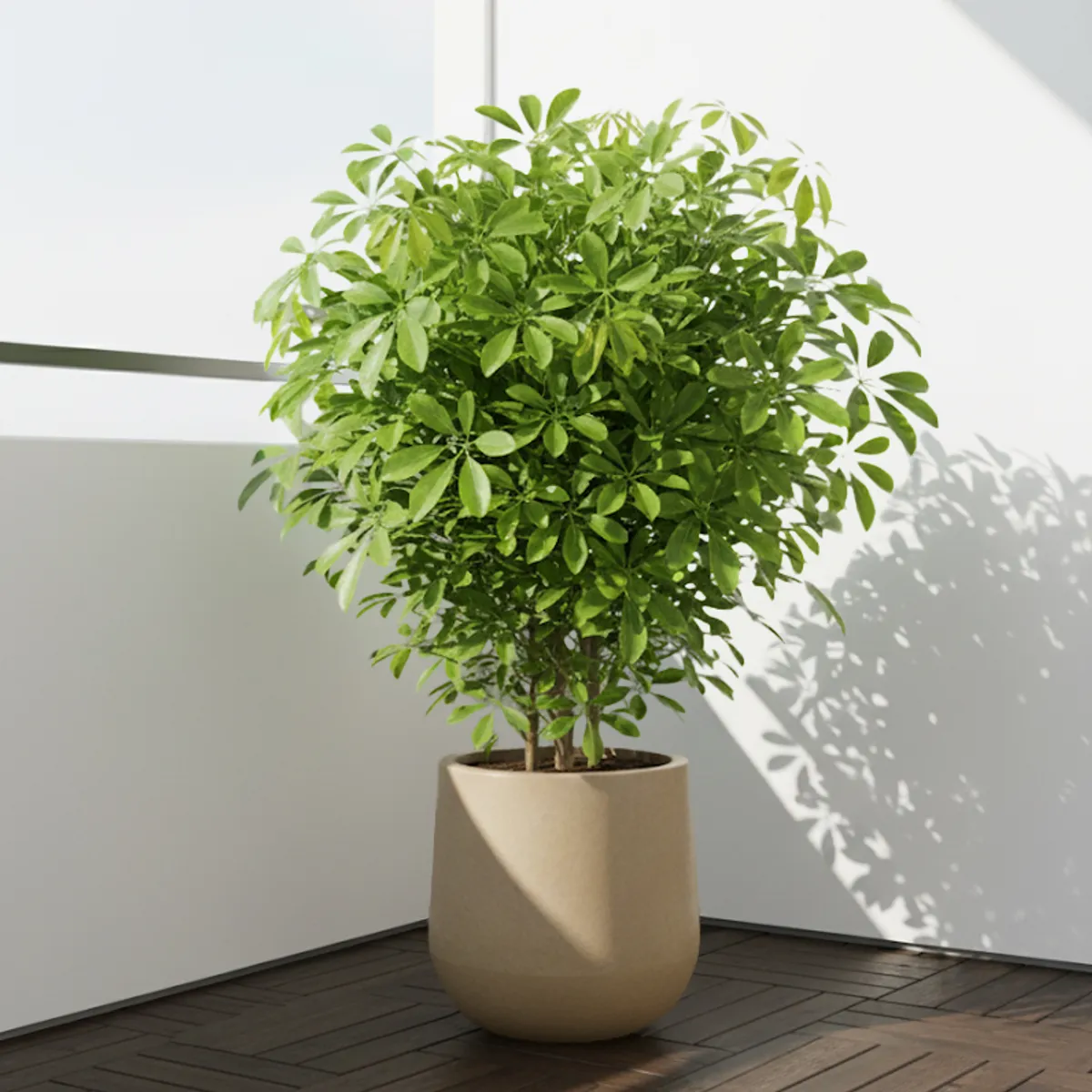 GENERICO - MACETERO BEIGE MODELO MARAGOGI 36CM ALTO