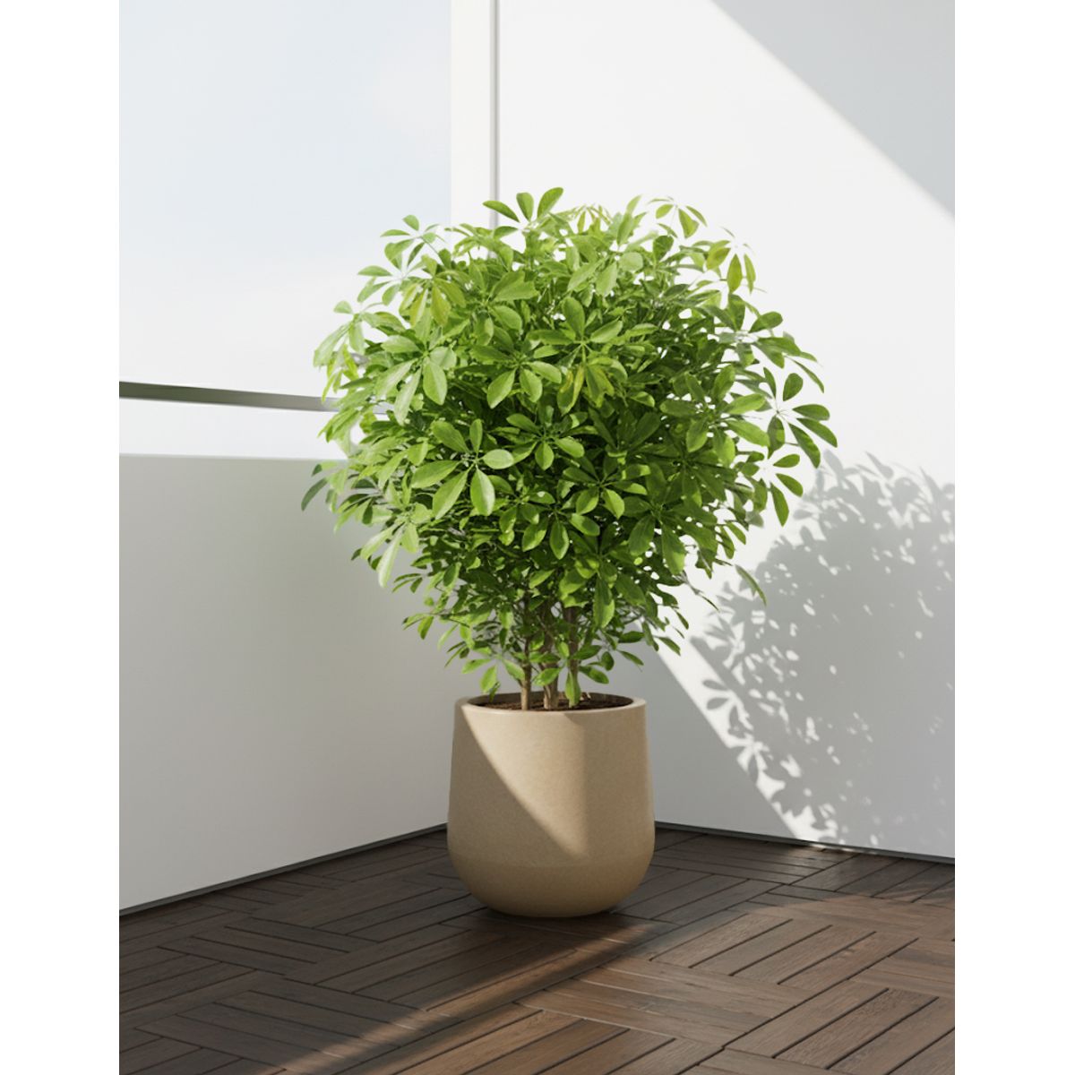 GENERICO - MACETERO BEIGE MODELO MARAGOGI 36CM ALTO
