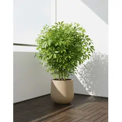 GENERICO - MACETERO BEIGE MODELO MARAGOGI 36CM ALTO