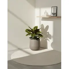 GENERICO - MACETERO CEMENTO MODELO MARAGOGI 36CM ALTO