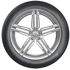 TRIANGLE - Neumático 195/65 R15 95V TE307