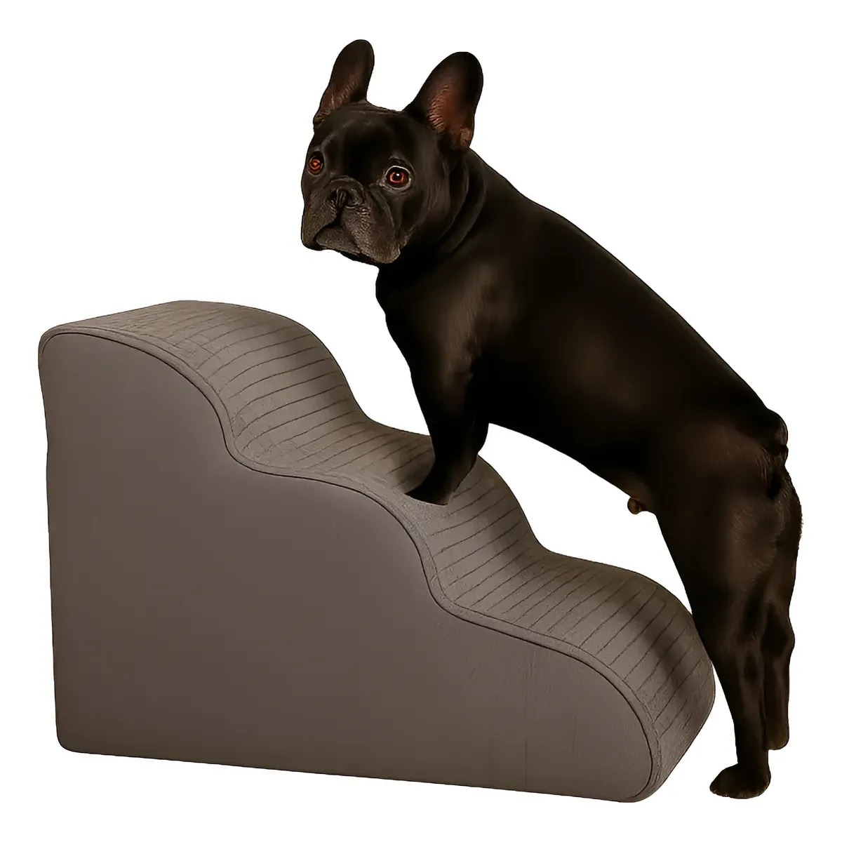 THE DOGS - Rampa Escalera Perros Sofá o cama Antideslizante The Dogs