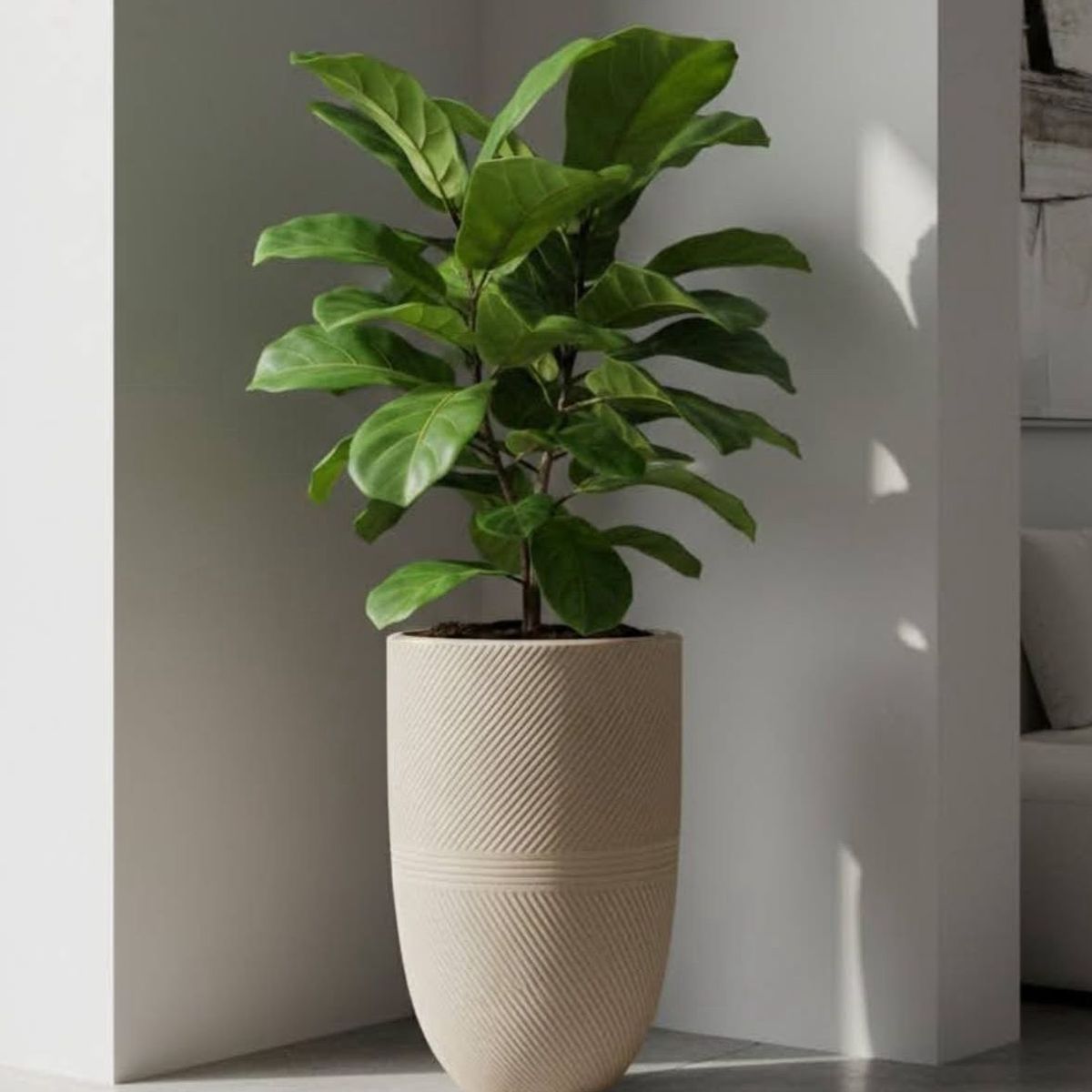 FLORIDIS - MACETERO FLORIDIS BEIGE ARGOS 57CM ALTO CON PLATO