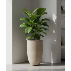 FLORIDIS - MACETERO BEIGE ARGOS 57CM ALTO CON PLATO