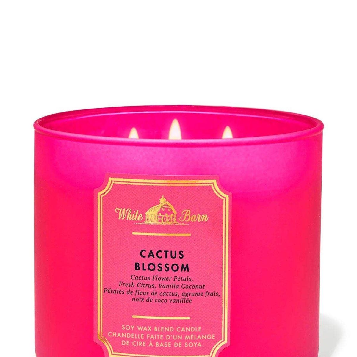 BATH & BODY WORKS - Vela Grande Bath & Body Works Cactus Blossom
