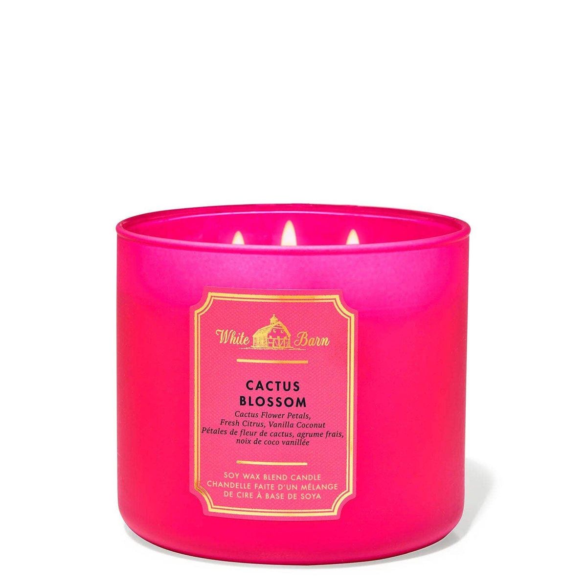 BATH & BODY WORKS - Vela Grande Bath & Body Works Cactus Blossom