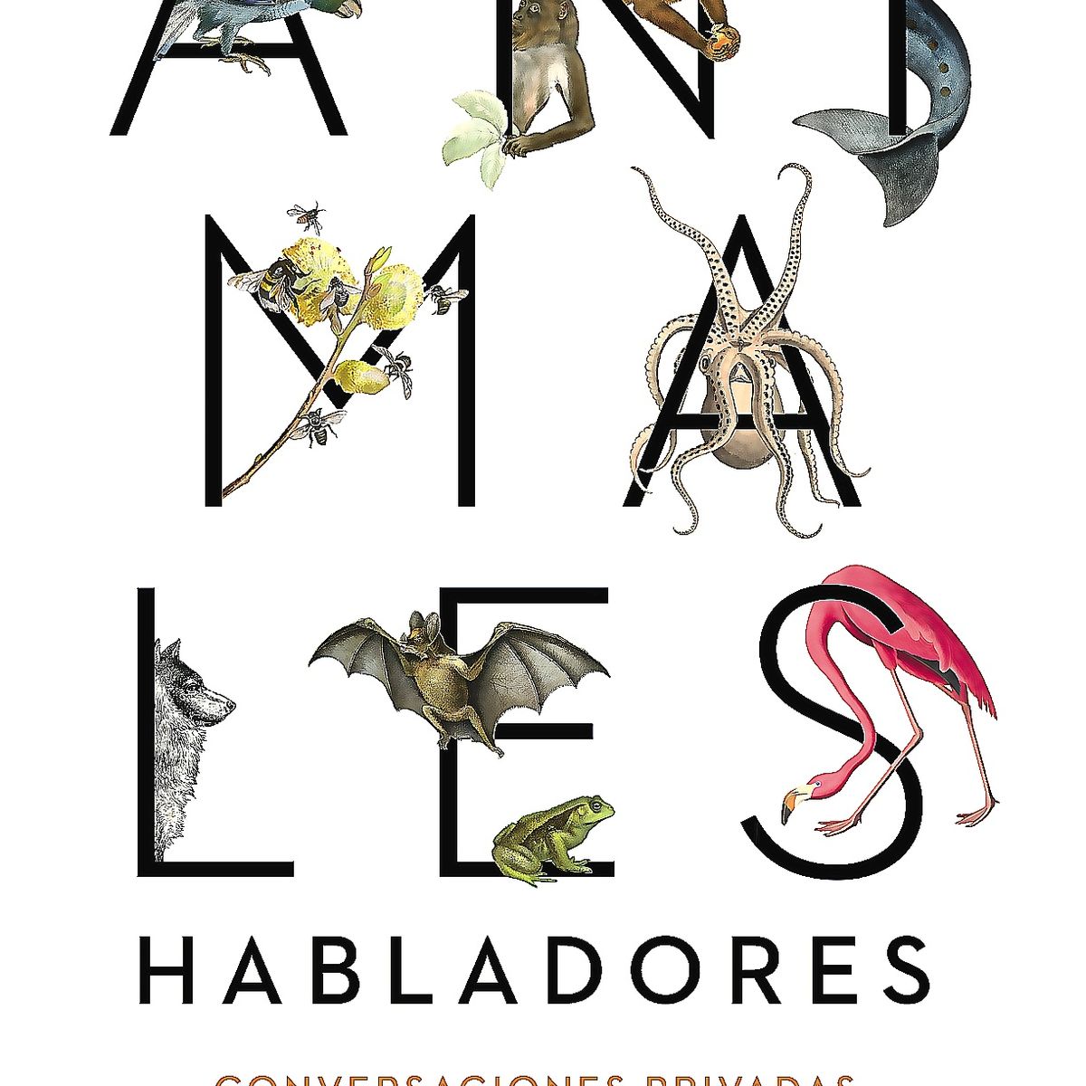 TAURUS - Libro Animales Habladores - Meijer, Eva