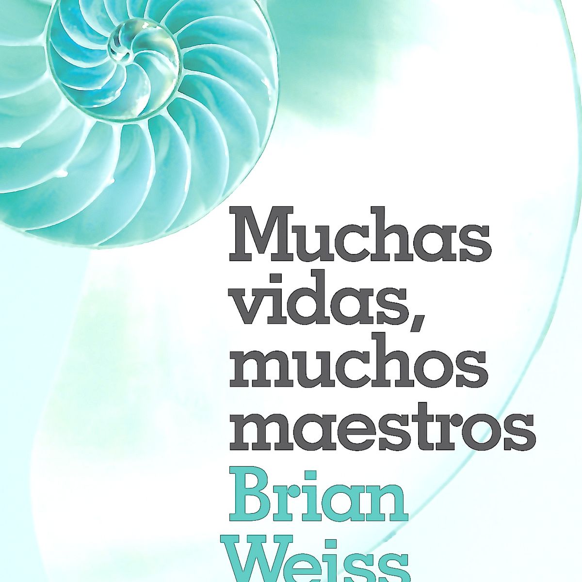 B DE BOLSILLO - Libro Muchas Vidas, Muchos Maestros (Ed Limitada) - B Weiss