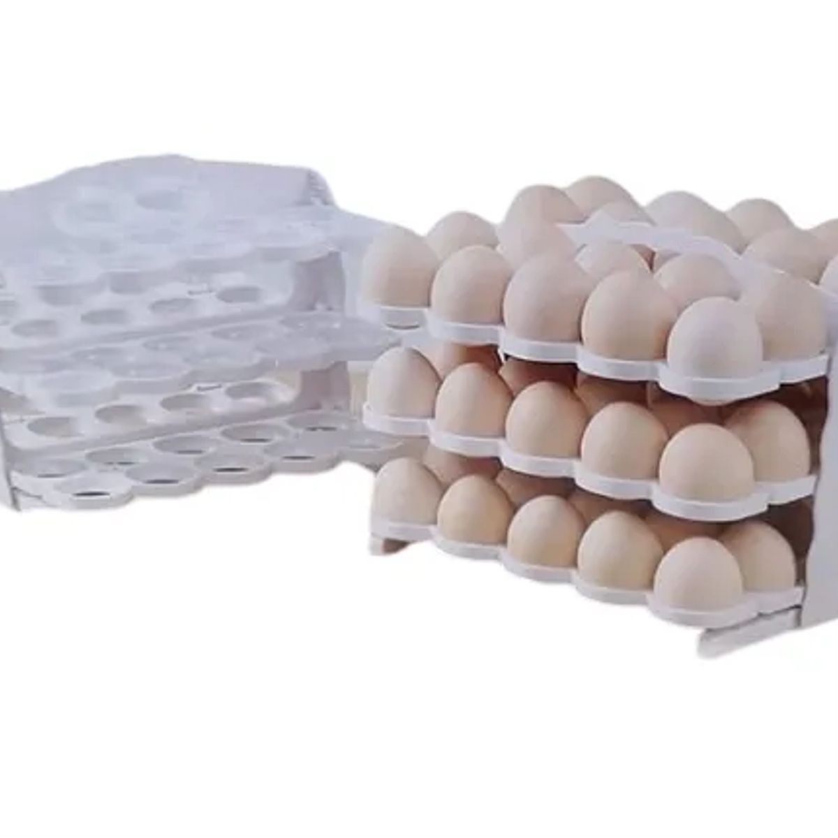 GENERICO - Huevera Plegable Organizador De Huevos 60 Unidades