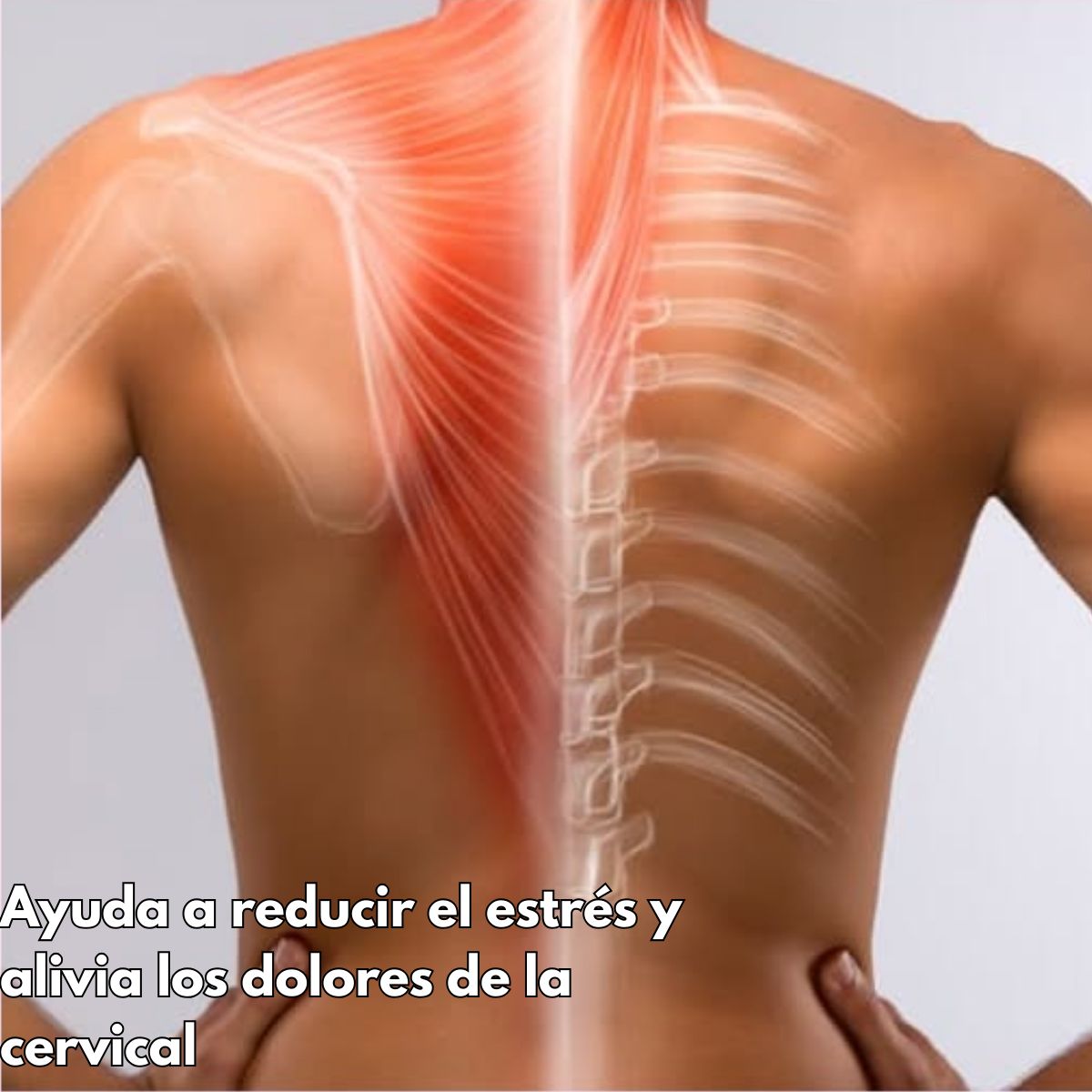 GENERICO - Pack 10 Unidades Parche Adhesivo Para Zona Cervical