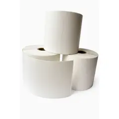 ROLLITOS - Pack x 2500 Etiquetas Térmicas 10x15cm Zebra Epson