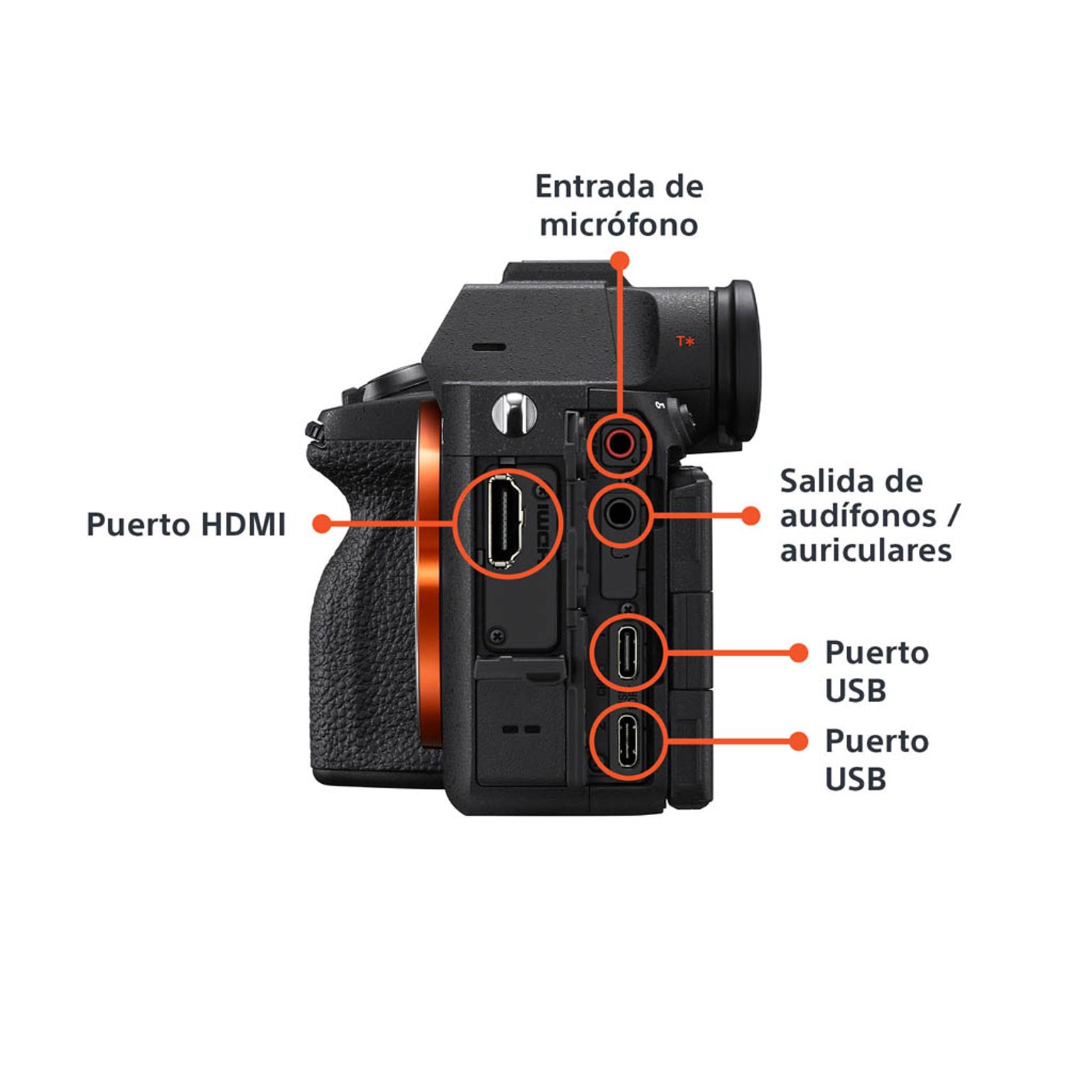 SONY Cámara híbrida full-frame a7 V ILCE-7M5 Sony | Falabella Chile