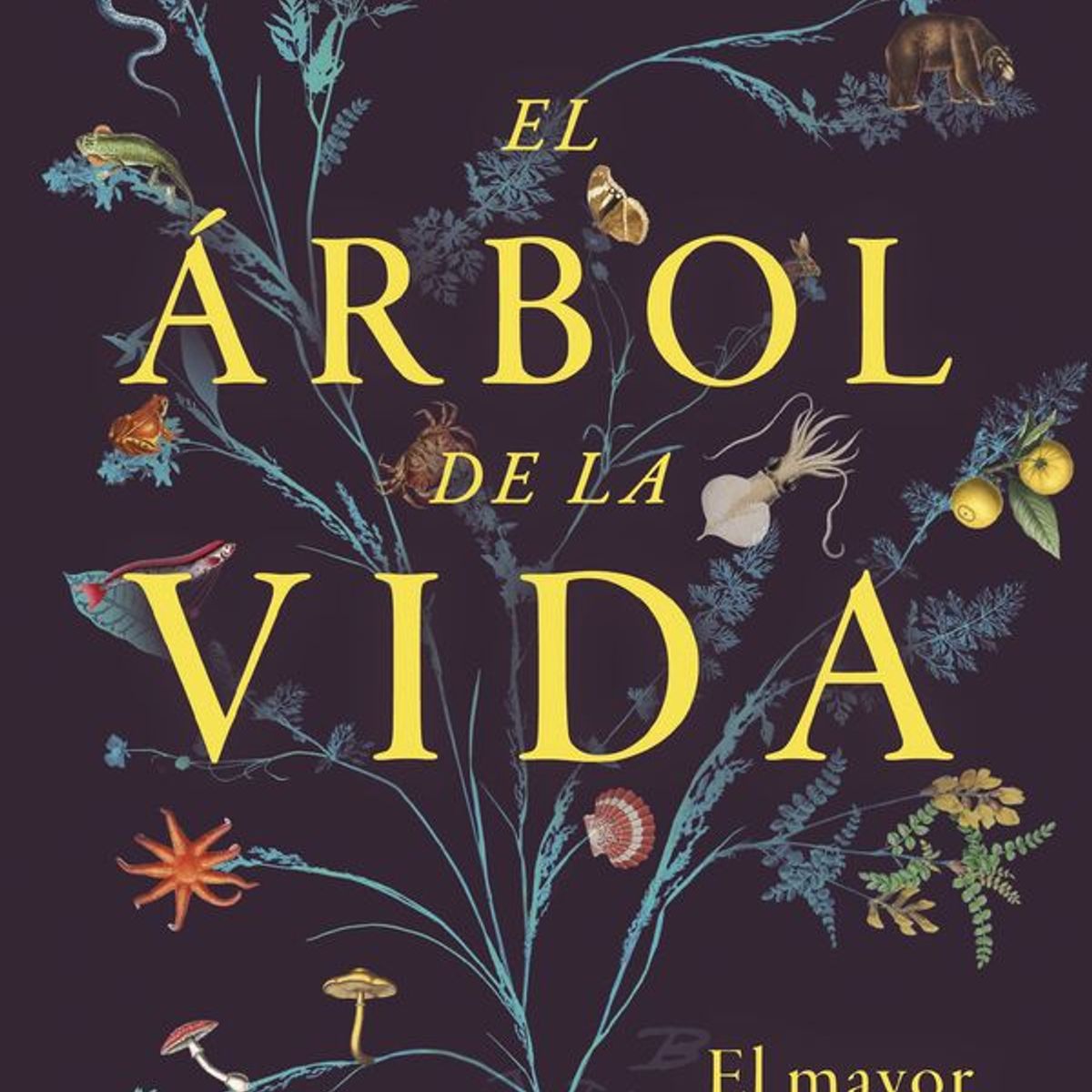 ANTARTICA LIBROS - El Arbol De La Vida