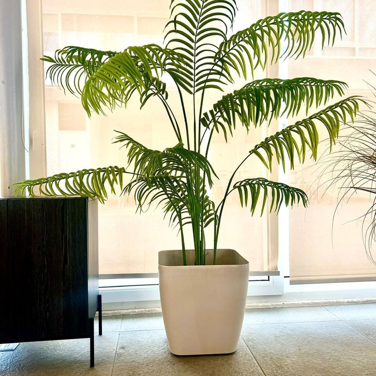 ARBUSTO REAL - Macetero Nórdico Beige L 40 cm 40 x 40 x 40