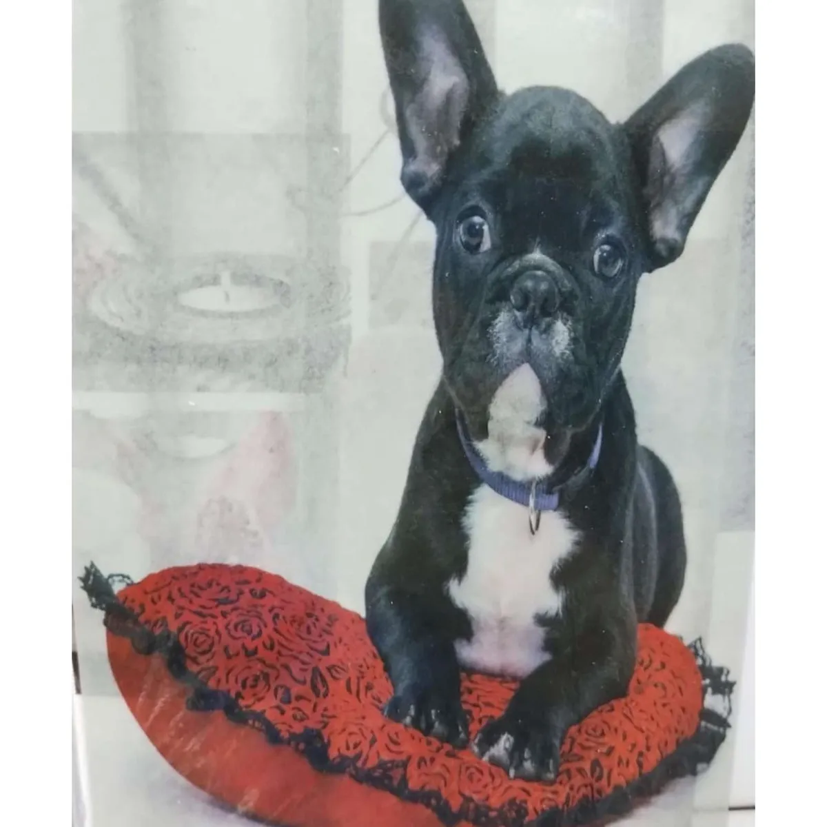 GENERICO - CORTINA DE BAÑO 180 cm