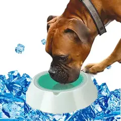 GENERICO - Bebedero para Mascotas con Hidrogel Conserva Agua Fría