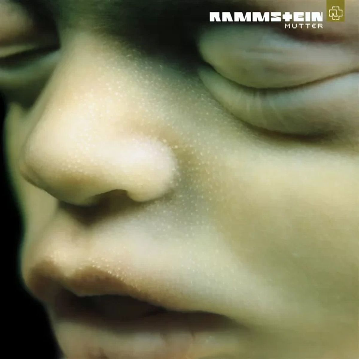UNIVERSAL - Rammstein - Mutter - Vinilo Doble