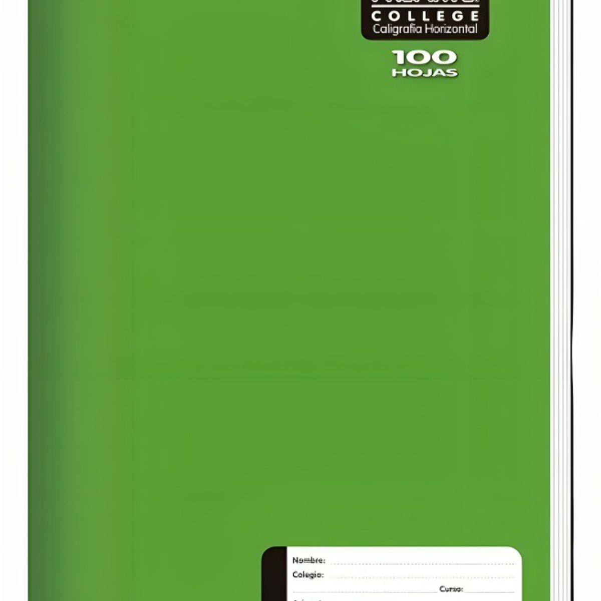 PROARTE - Pack 4 Cuaderno College Liso Caligrafía Horizontal 100 Hojas  Proarte