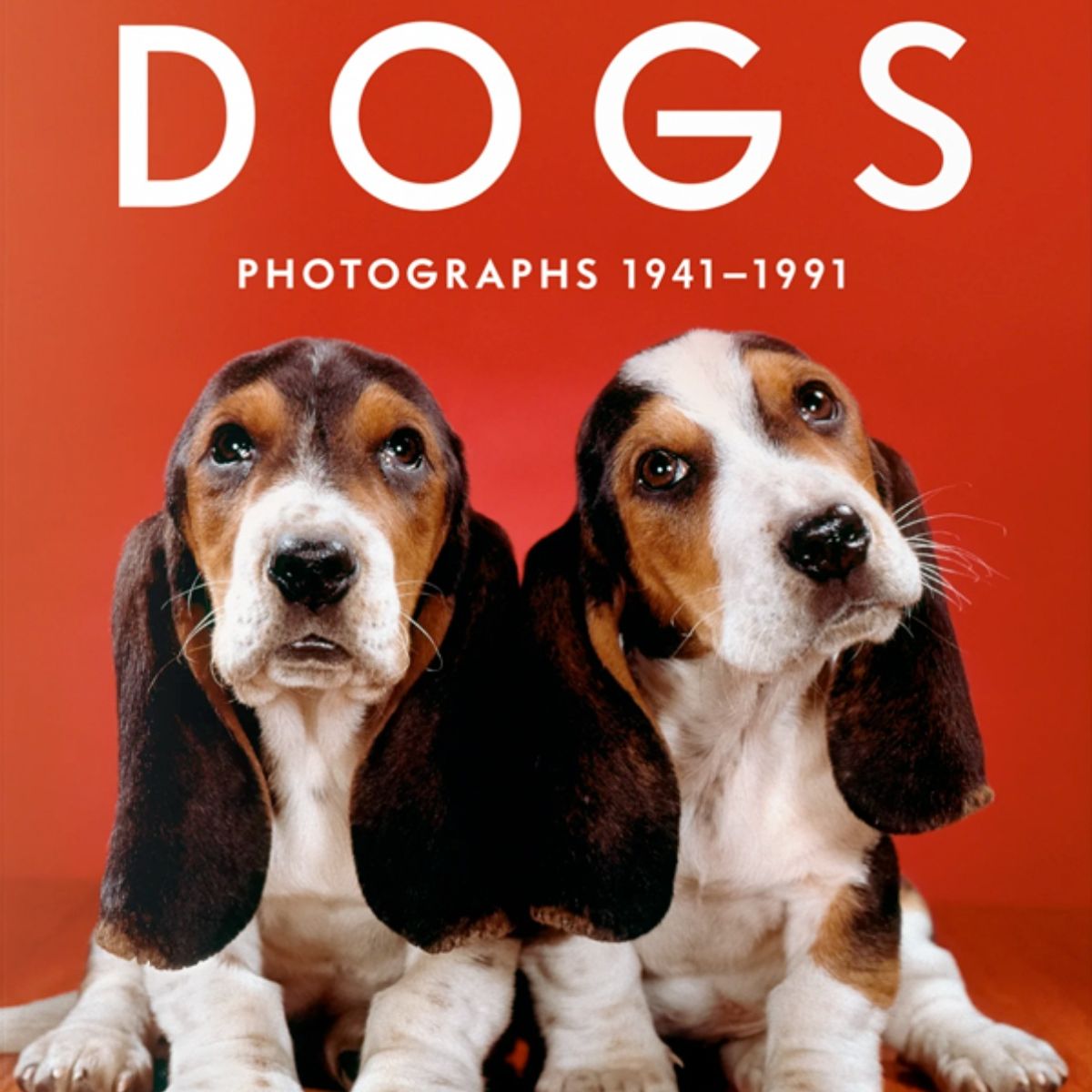 TASCHEN - Walter Chandoha. Dogs. Photographs 1941–1991