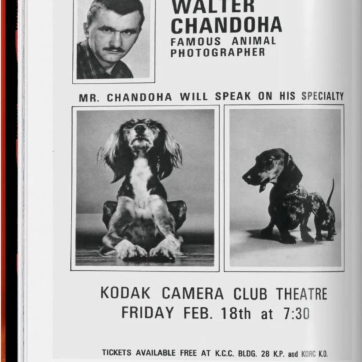 TASCHEN - Walter Chandoha. Dogs. Photographs 1941–1991