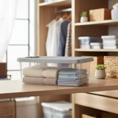 GENERICO - Caja Transparente Aplilable Organizadora Almacenamiento 10 L