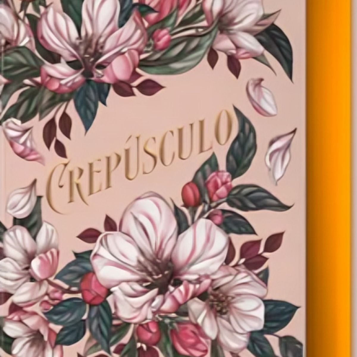 TOP10BOOKS - LIBRO Crepúsculo (edición Especial Limitada «bella Y Edward» Por El 20º