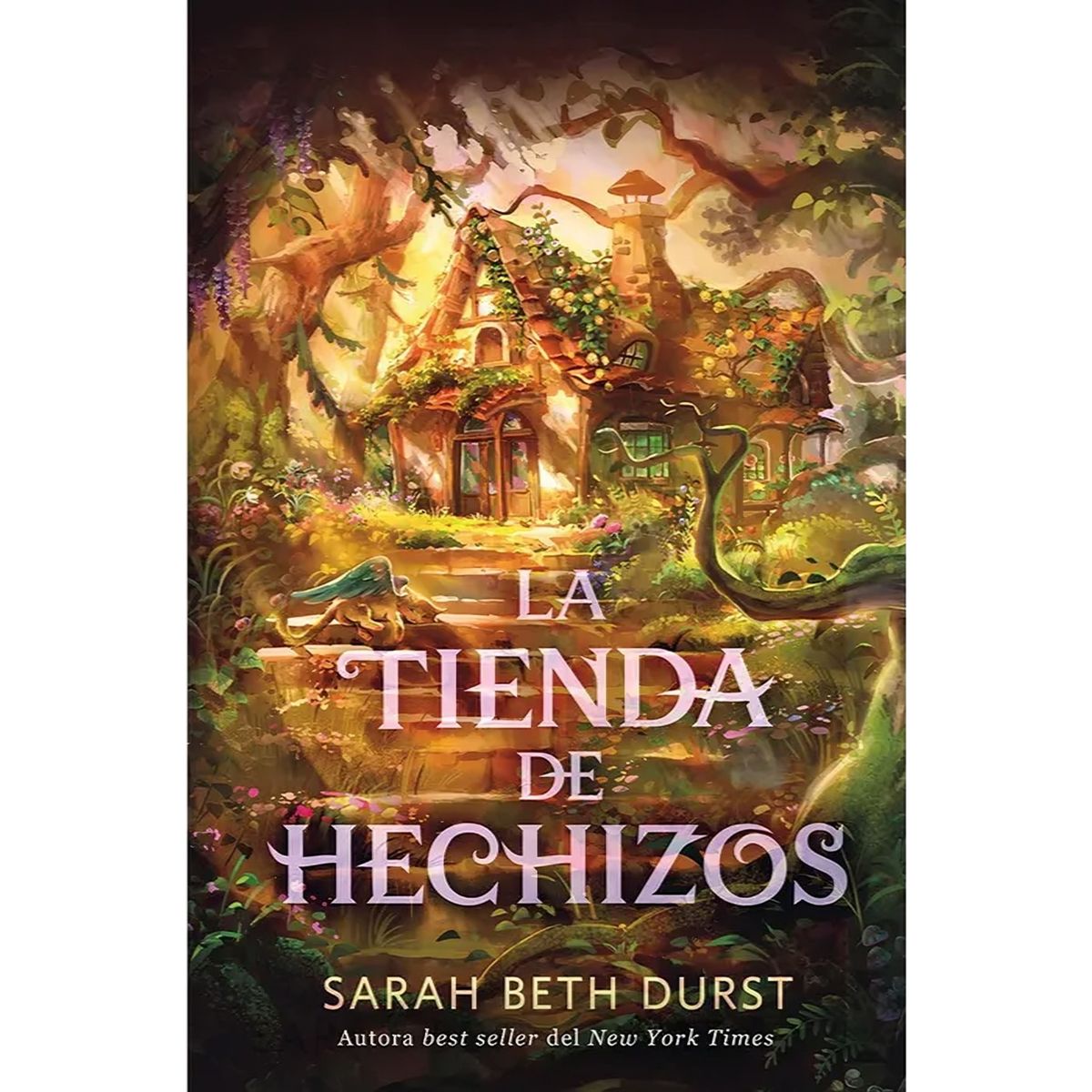 TOP10BOOKS - LIBRO La Tienda De H e c h i z o s - La Tienda De H e c h i z o s