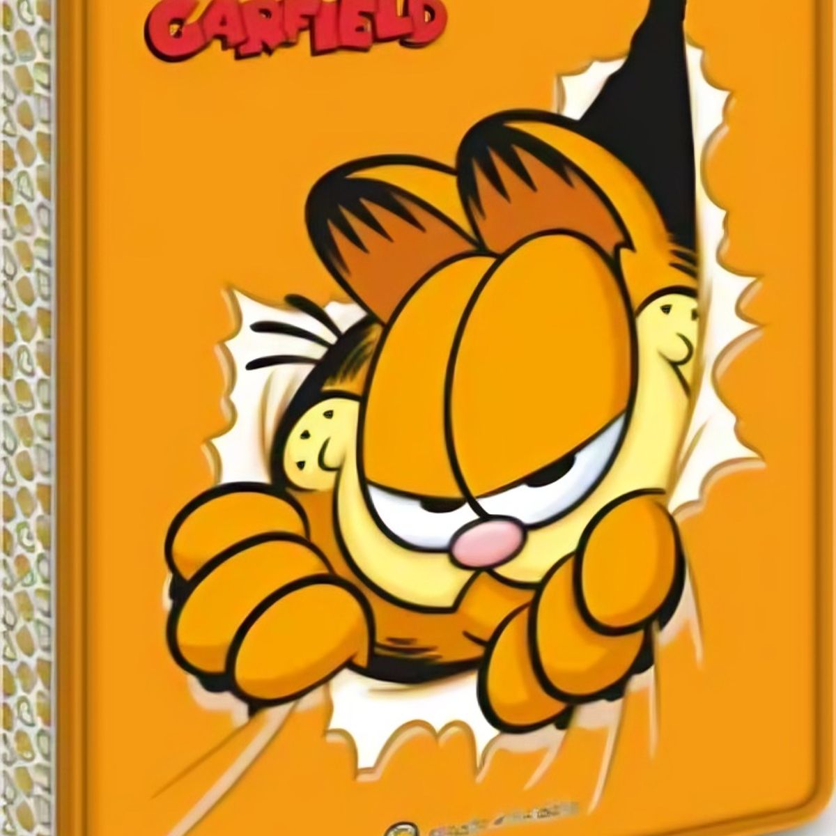 TOP10BOOKS - LIBRO La Dulce Felicidad Garfield - Nickelodeon *aventuras Enlatadas*