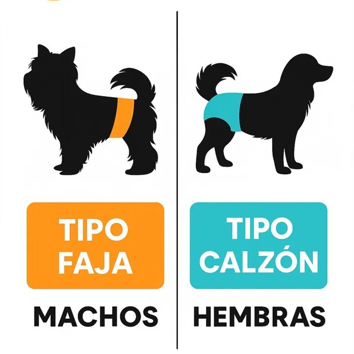 GENERICO - 120 Pañales Para Perros Pañales Para Perro Pañales Gato S