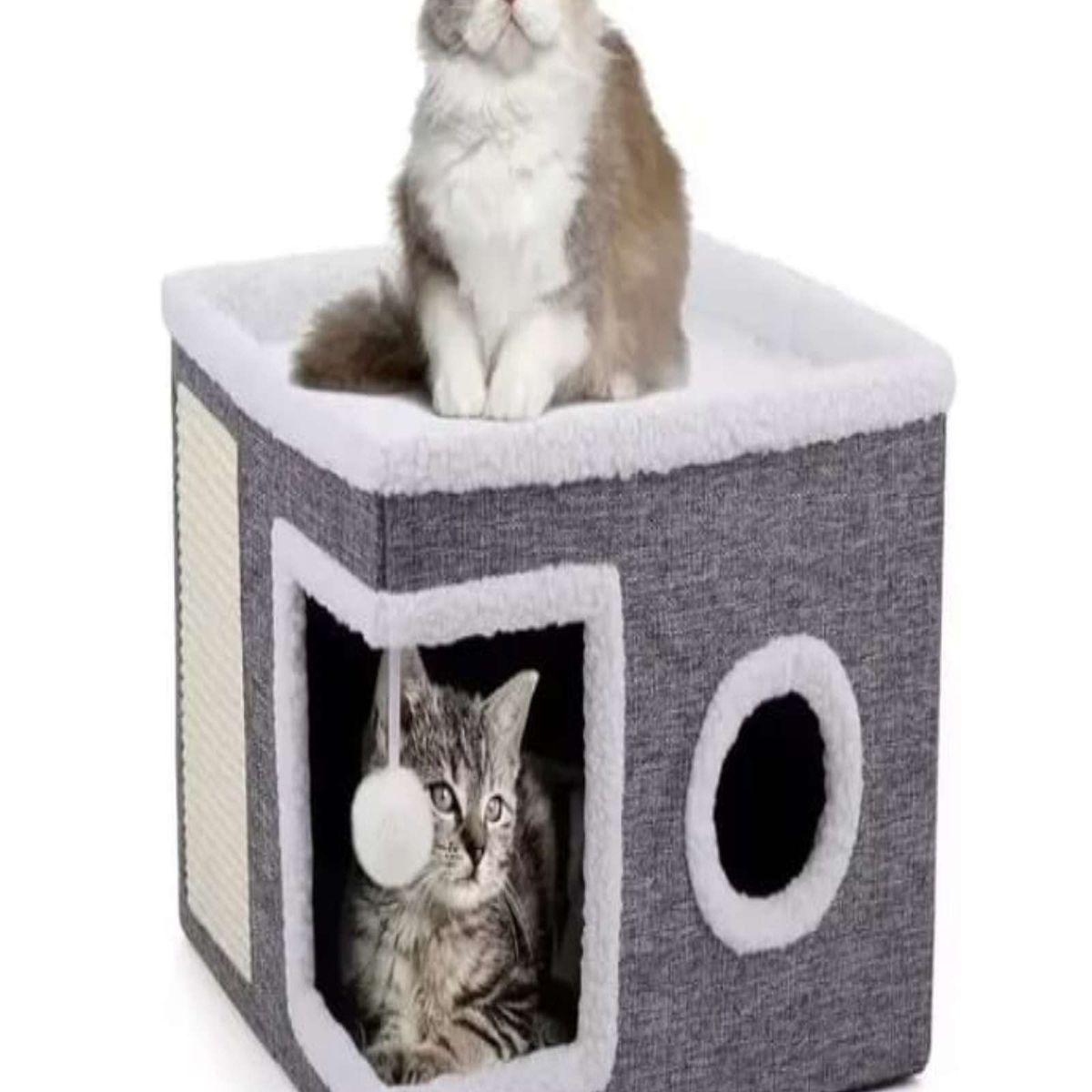 GENERICO - Casa Iglu Para Gatos Cama Michis Plegable Con Cojin Pompon